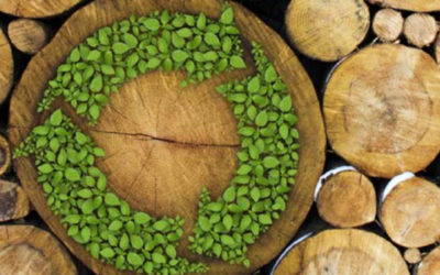 Matière Organique et cycle du carbone : enterrons-le (à nouveau) !