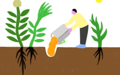 (re)Enterrer le CO2?