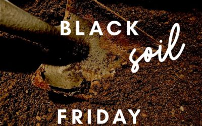 Black SOIL Friday