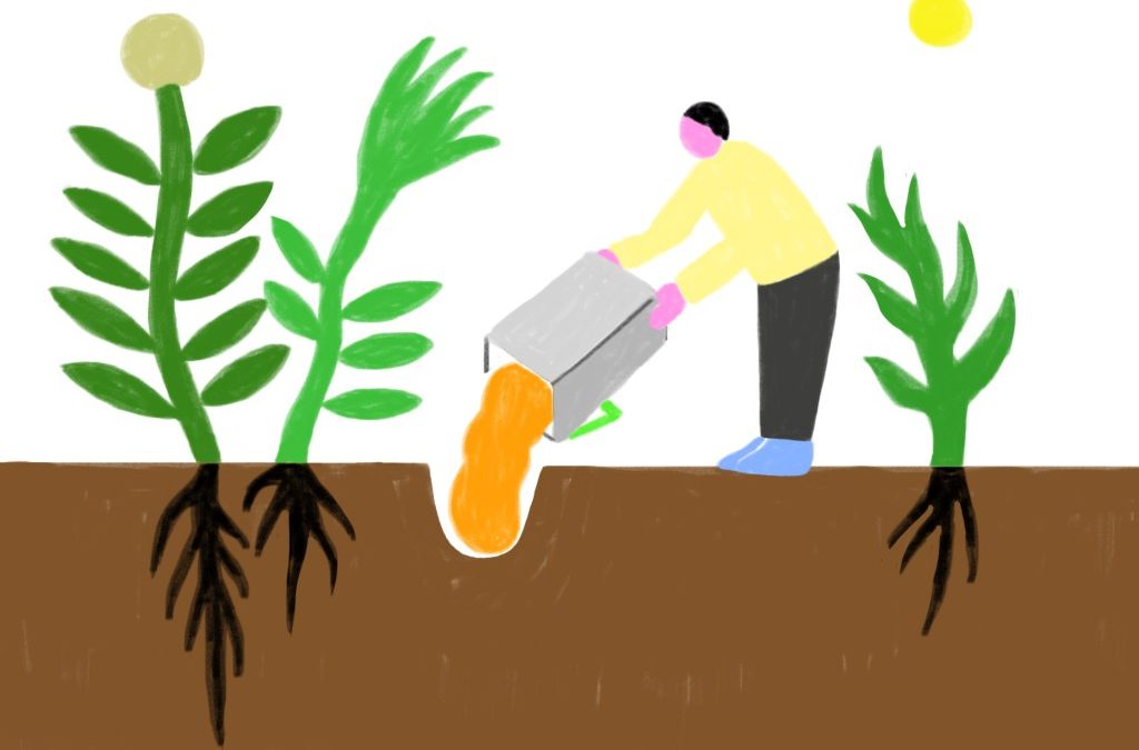 (re)Enterrer le CO2?